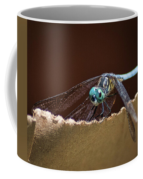 Insect Coffee Mug featuring the photograph Dragonfly Eyes by Portia Olaughlin
