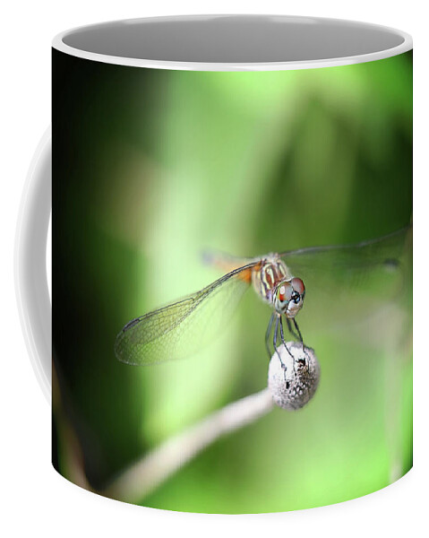  Coffee Mug featuring the photograph Dragonfly by Nicole Engstrom