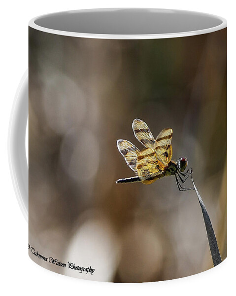 Dragonfly Coffee Mug featuring the photograph Dragonfly by Tahmina Watson