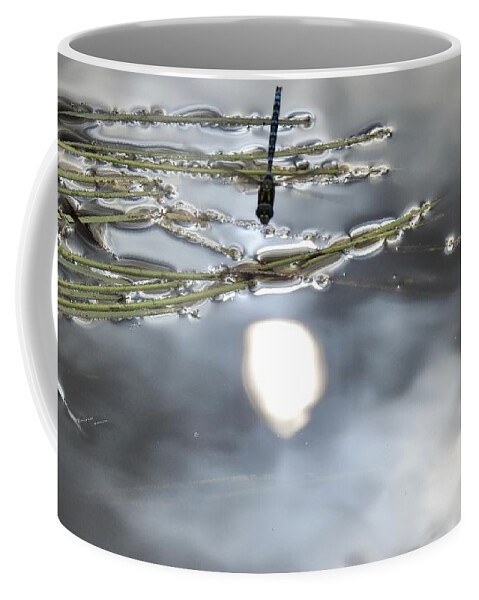 Sun Reflected Coffee Mug featuring the photograph Dragonfly talks to the Sun by Nicola Finch