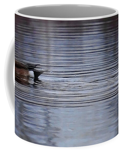 Waterfowl Coffee Mug featuring the photograph Drake Widgeon And Ring Neck by Dale Kauzlaric