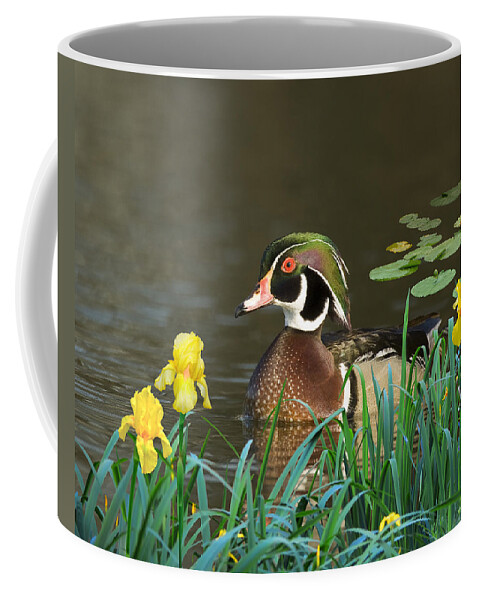 Duck Coffee Mug featuring the digital art Drake Wood Duck and Iris by M Spadecaller