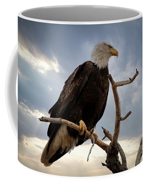 Eagle Coffee Mug featuring the photograph Dramatic by Veronica Batterson