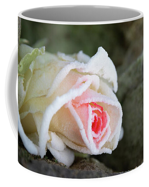 Rose Coffee Mug featuring the photograph Dream of the ice princess 2 by Adriana Mueller
