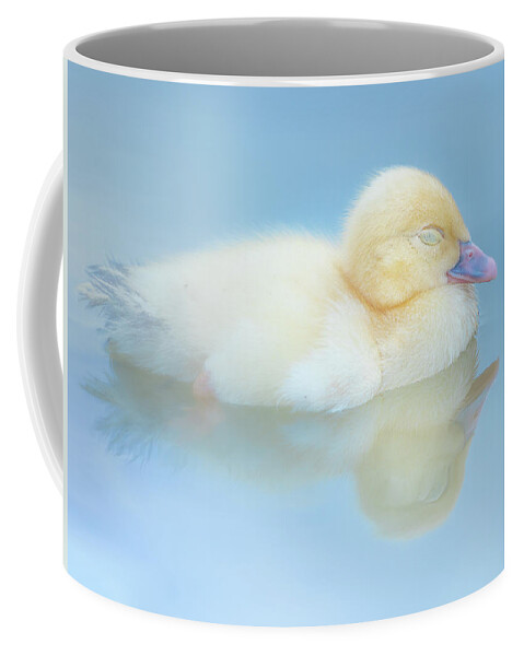 Yellow Duckling Coffee Mug featuring the photograph Dream Reflections by Jordan Hill