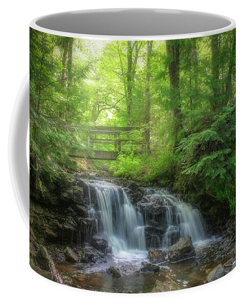 Waterfall Coffee Mug featuring the photograph Dreaming at the Waterfall by Robert Carter