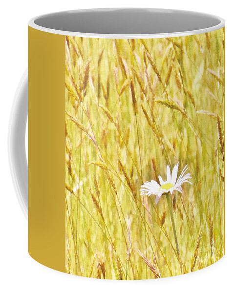 Daisy Coffee Mug featuring the photograph Dreaming by Jimmy Chuck Smith