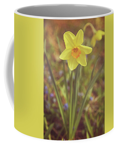 Dreamy Daffodil Coffee Mug featuring the photograph Dreamy Daffodil by Carrie Ann Grippo-Pike