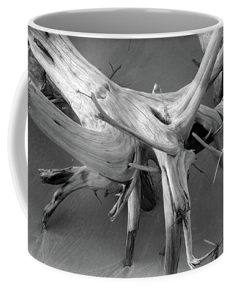 Beach Coffee Mug featuring the photograph Driftwood 2, Big Talbot Island by John Simmons