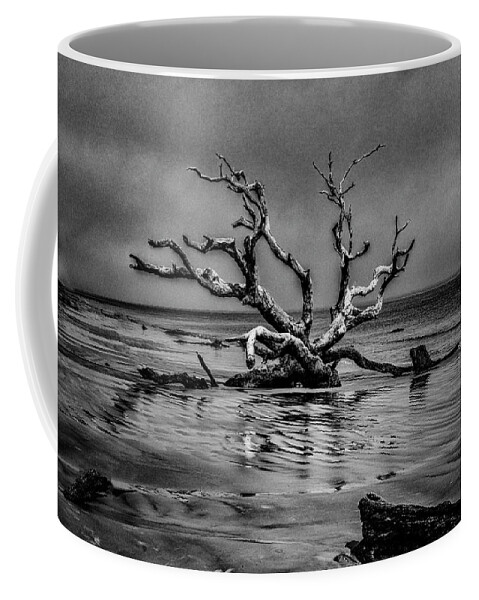 Marietta Georgia Coffee Mug featuring the photograph Driftwood Beach by Tom Singleton