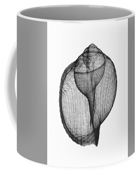 Beach Decor Coffee Mug featuring the photograph Driftwood Canarium x-ray Beach art by Roy Livingston