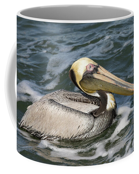 Birds Coffee Mug featuring the photograph Drooling Brown Pelican by RD Allen