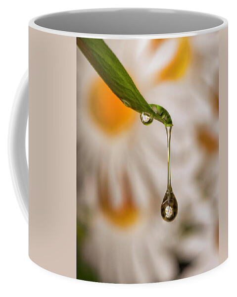 Drop Coffee Mug featuring the photograph Drop Reflection by Pete Rems