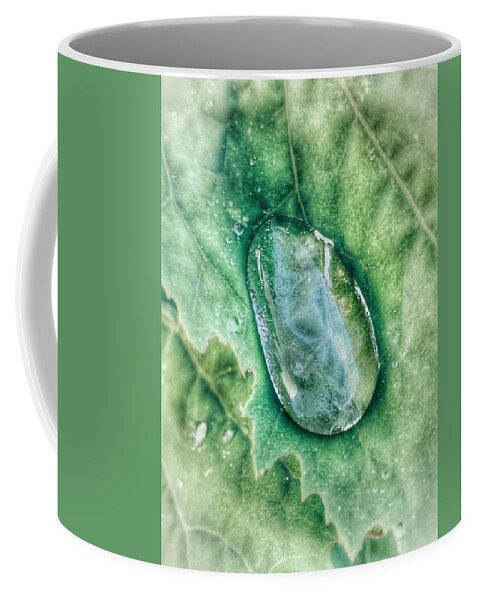  Coffee Mug featuring the photograph Droplet by Katie Gray