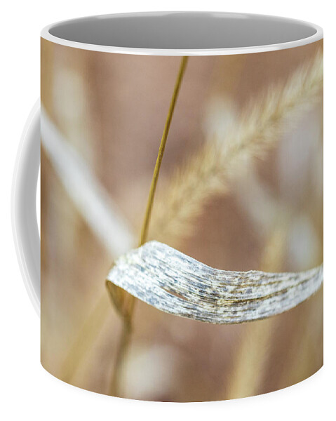 Nature Coffee Mug featuring the photograph Dry Grass by Amelia Pearn