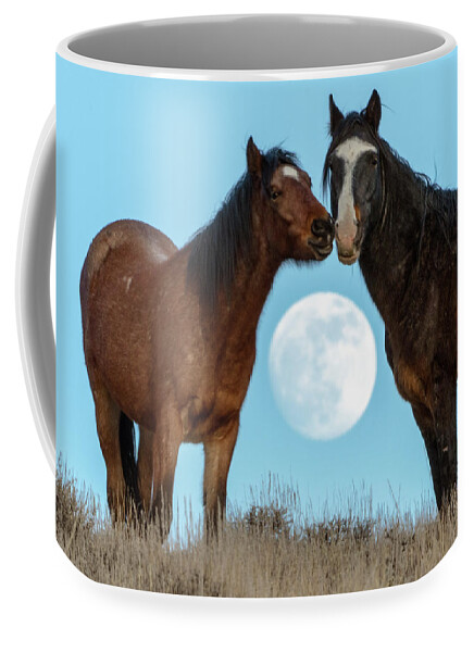 Horses Coffee Mug featuring the photograph Dsc06591 by John T Humphrey