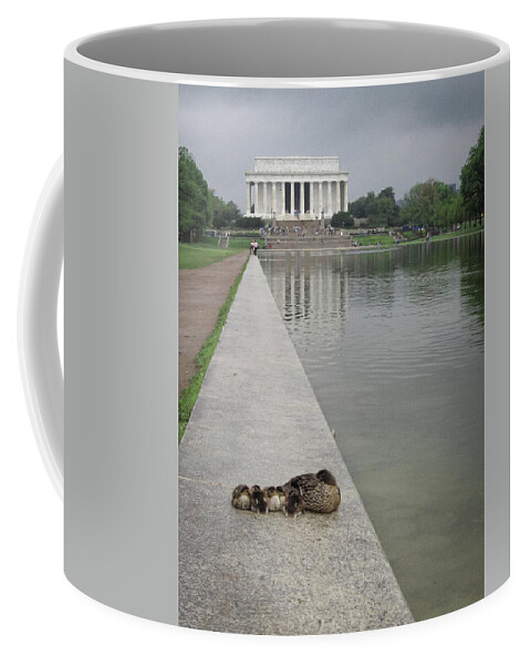 Lincoln Memorial Coffee Mug featuring the photograph Duck Family and the Lincoln Memorial Washington DC by Mary Lee Dereske