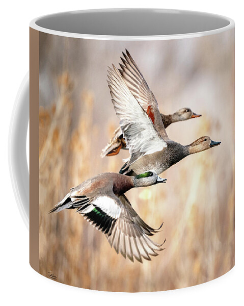 Ducks Coffee Mug featuring the photograph Duck Flyaway by Judi Dressler