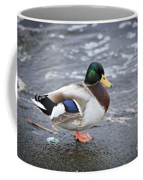 Duck Coffee Mug featuring the photograph Duckly by Mina Isaac