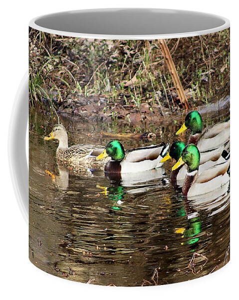 Birds Coffee Mug featuring the photograph Ducks in a ragged row by Charles Ray