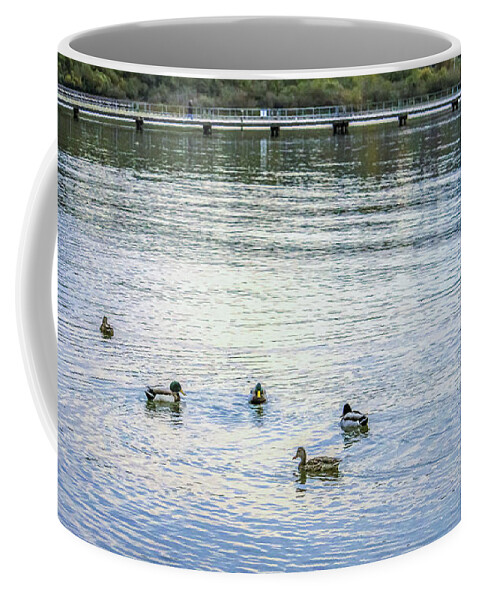 Animals Coffee Mug featuring the photograph Ducks on the lake by Anamar Pictures