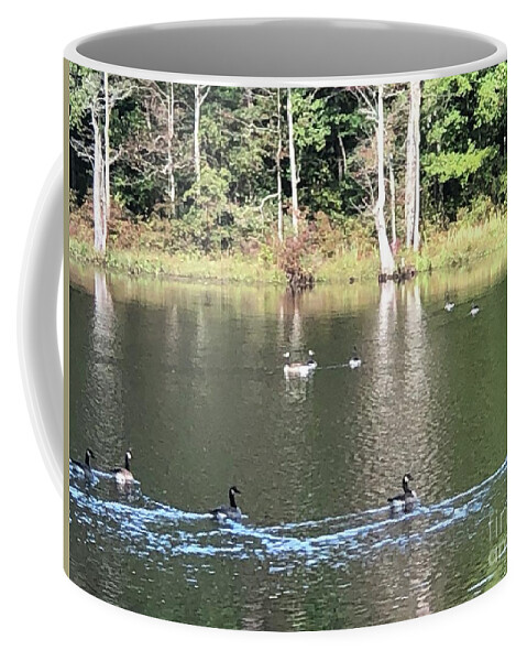 Four H Club Coffee Mug featuring the photograph Ducks on Water by Catherine Wilson