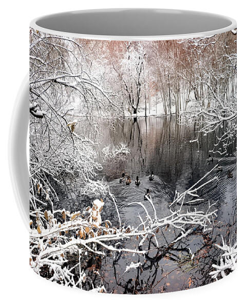 Ducks Coffee Mug featuring the photograph Ducks winter paradise by Janice Drew
