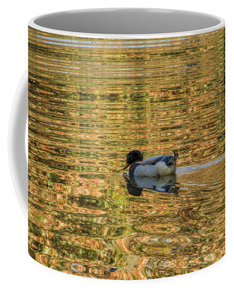 Duck Coffee Mug featuring the photograph Ducky on Gold Pond by Kathy Clark