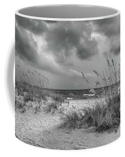 Venice Fishing Pier Coffee Mug featuring the photograph Dune Grass Venice Beach Florida by Rudy Wilms