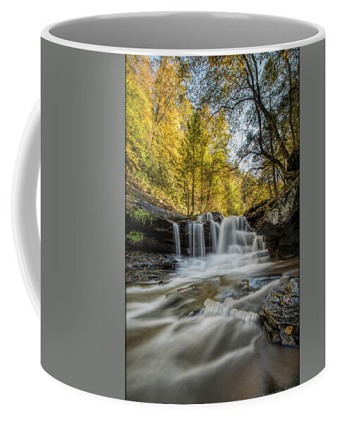 Water Coffee Mug featuring the photograph Dunlop Creek Falls by Erika Fawcett