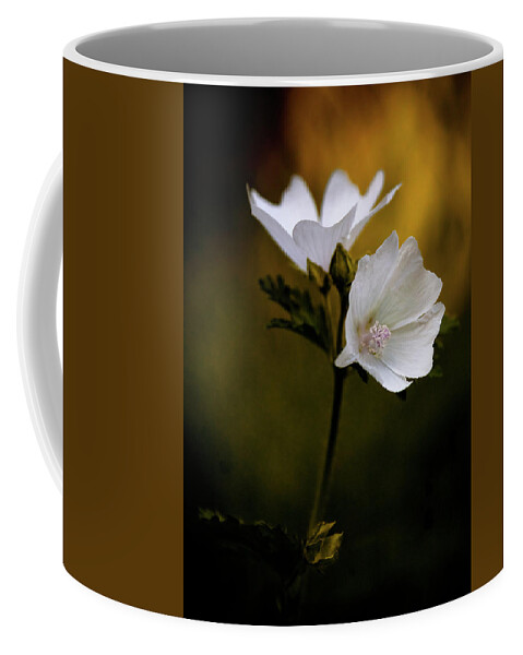 Flowers Coffee Mug featuring the photograph Duo by RicharD Murphy