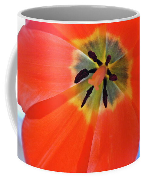 Tulip Coffee Mug featuring the photograph Dutch Umbrella by Michele Myers