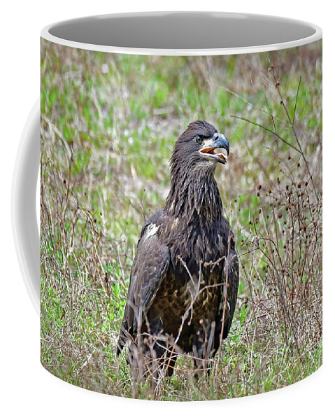 Bald Eagles Coffee Mug featuring the photograph E19 fledging adventure by Liz Grindstaff