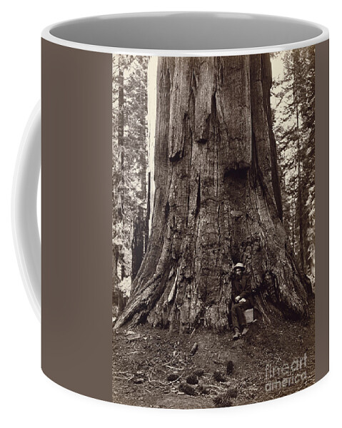 19th Coffee Mug featuring the photograph Eadweard Muybridge and General Grant Tree, c. 1864 by Getty Research Institute