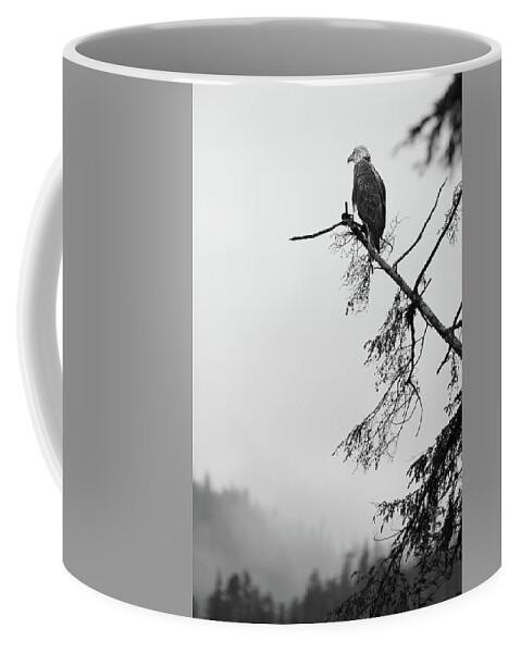  Coffee Mug featuring the photograph Eagle Black and White by Michael Rauwolf