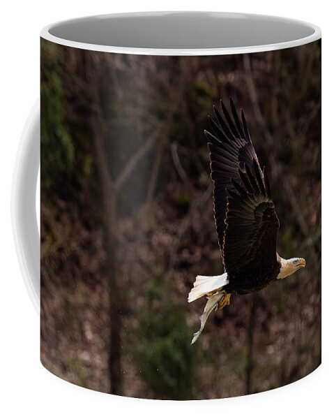 Eagle Coffee Mug featuring the photograph Eagle by Doug McPherson