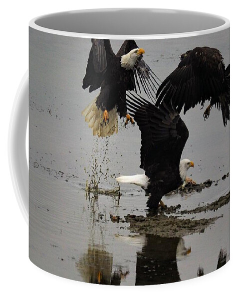 Eagles Coffee Mug featuring the photograph Eagle Hierarchy by Darrell MacIver