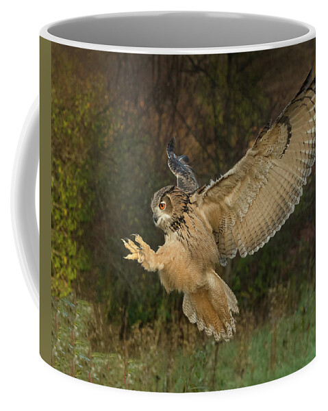 Owl Coffee Mug featuring the photograph Eagle-Owl Wings Back by CR Courson