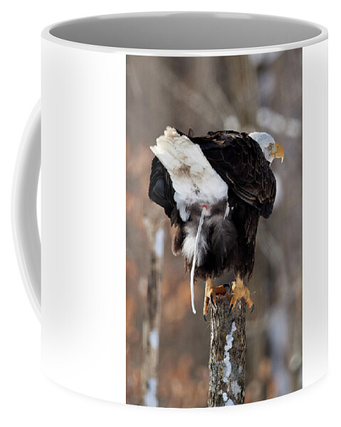 Bird Coffee Mug featuring the photograph Eagle shat in the woods by Paul Freidlund