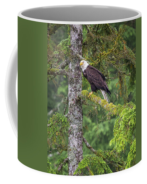 Eagle Coffee Mug featuring the photograph Eagle Tree by Michael Rauwolf