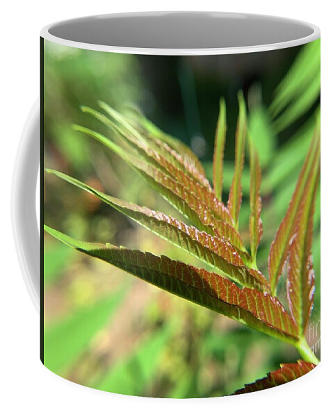 Sumac Coffee Mug featuring the photograph Early Spring Sumac Leaf by Catherine Wilson