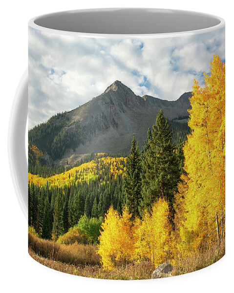 Aspens Coffee Mug featuring the photograph East Beckwith Aspens by Aaron Spong