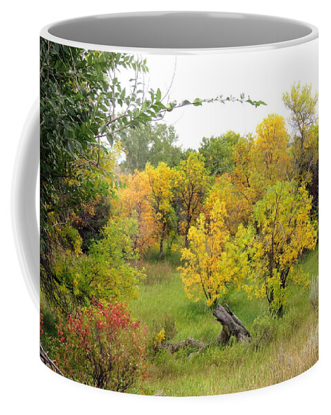 Fall Coffee Mug featuring the photograph Eastern Montana Autumn by Katie Keenan