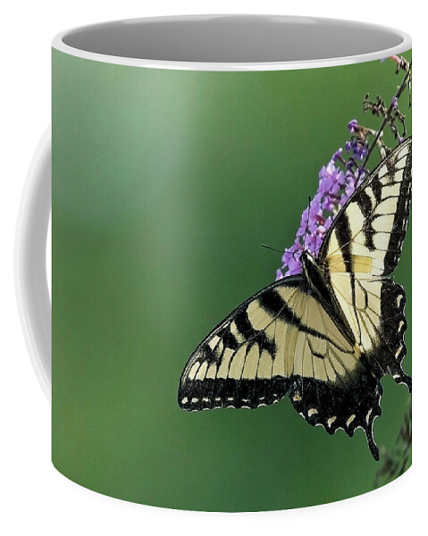 Eastern Tiger Swallowtail Coffee Mug featuring the photograph Eastern Tiger Swallowtail by Tony Mills