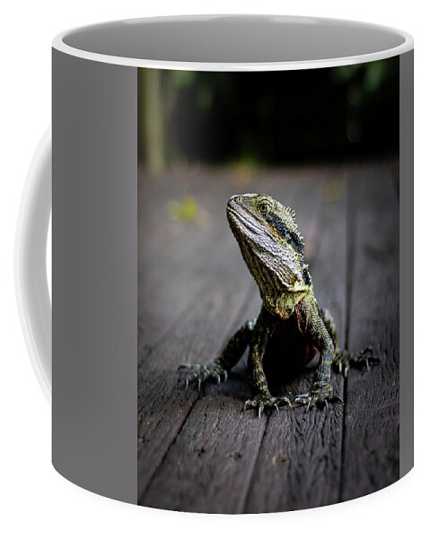 Water Coffee Mug featuring the photograph Eastern Water Dragon by Rick Nelson