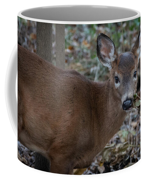 Animal Coffee Mug featuring the photograph Eat Your Greens by Linda Bonaccorsi