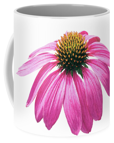 Coneflower Coffee Mug featuring the photograph Echinacea #1 by Tanya C Smith