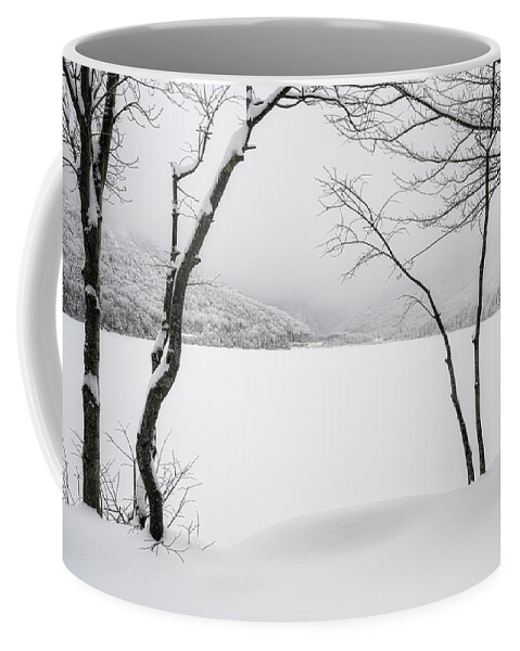Echo Lake Winter Coffee Mug featuring the photograph Echo Through The Trees, NH by Michael Hubley