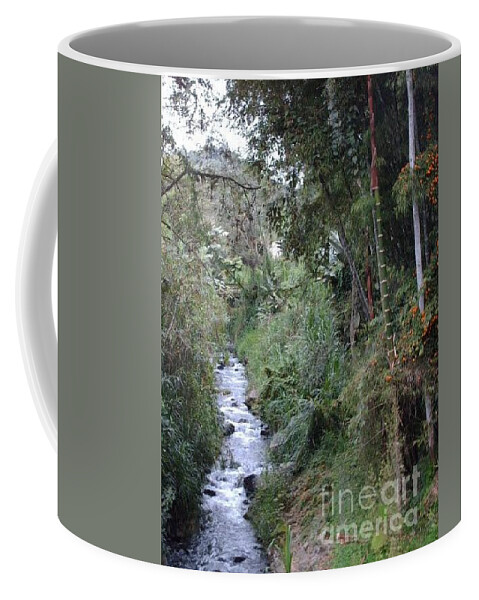 Ecuador Coffee Mug featuring the photograph Ecuador stream by Nancy Graham