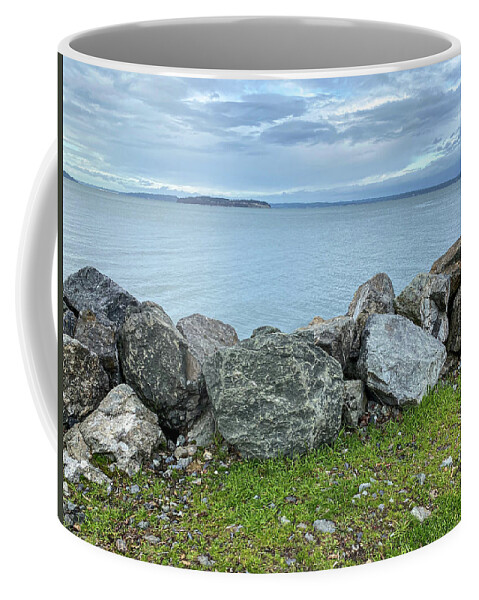 Park Coffee Mug featuring the photograph Edgewater beach park by Anamar Pictures